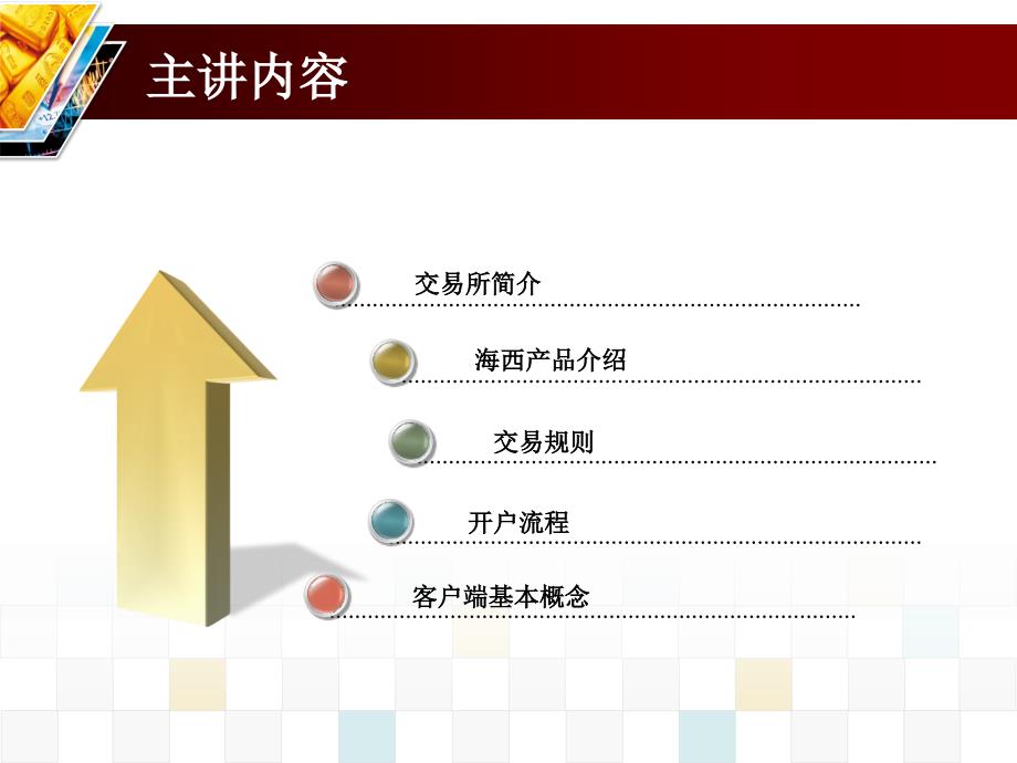 海西银投资代理介绍_第4页