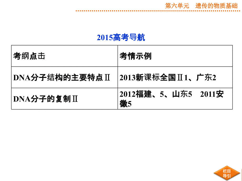 2015届《优化方案》高考生物(苏教版)一轮配套课件DNA的结构和DNA的复制_第2页