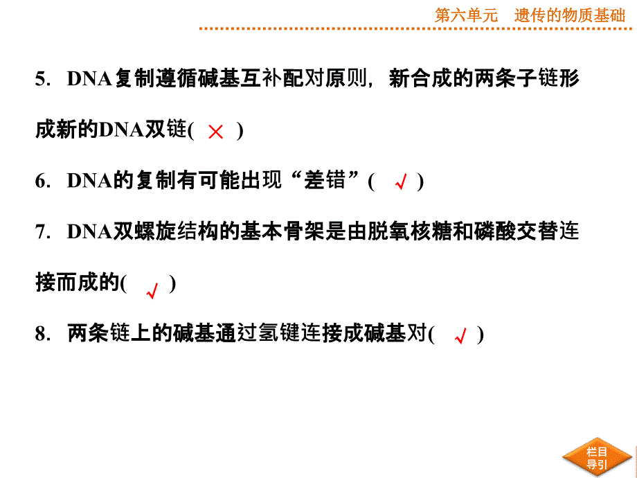 2015届《优化方案》高考生物(苏教版)一轮配套课件DNA的结构和DNA的复制_第4页