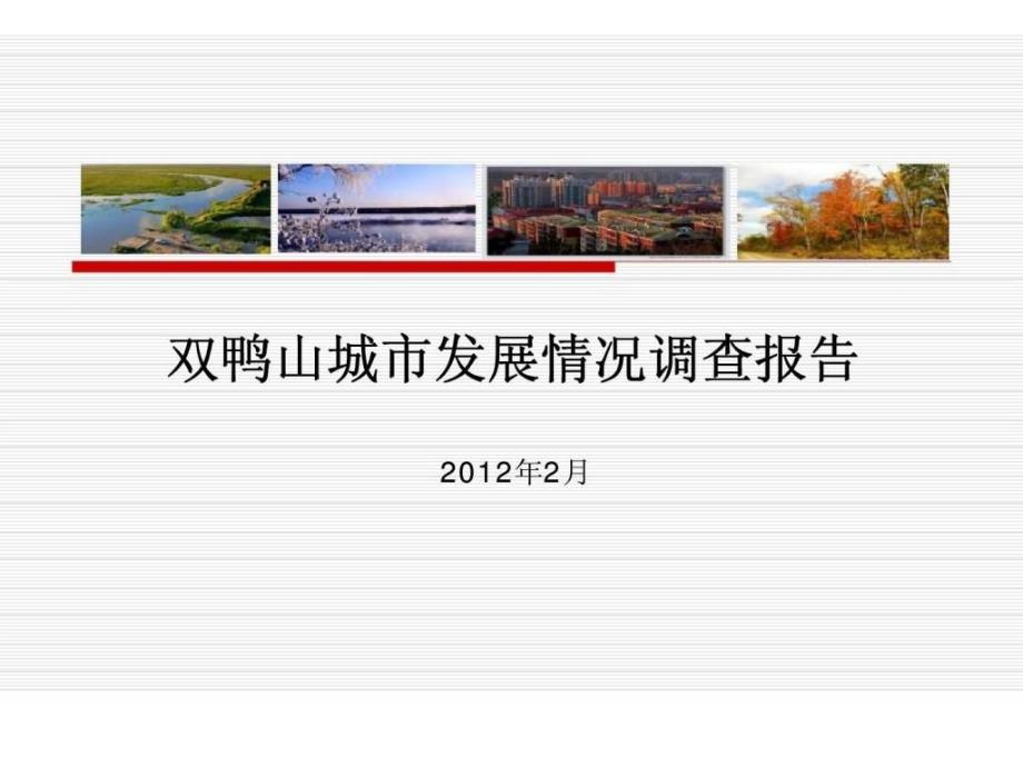 双鸭山城市发展情况调查报告_第1页