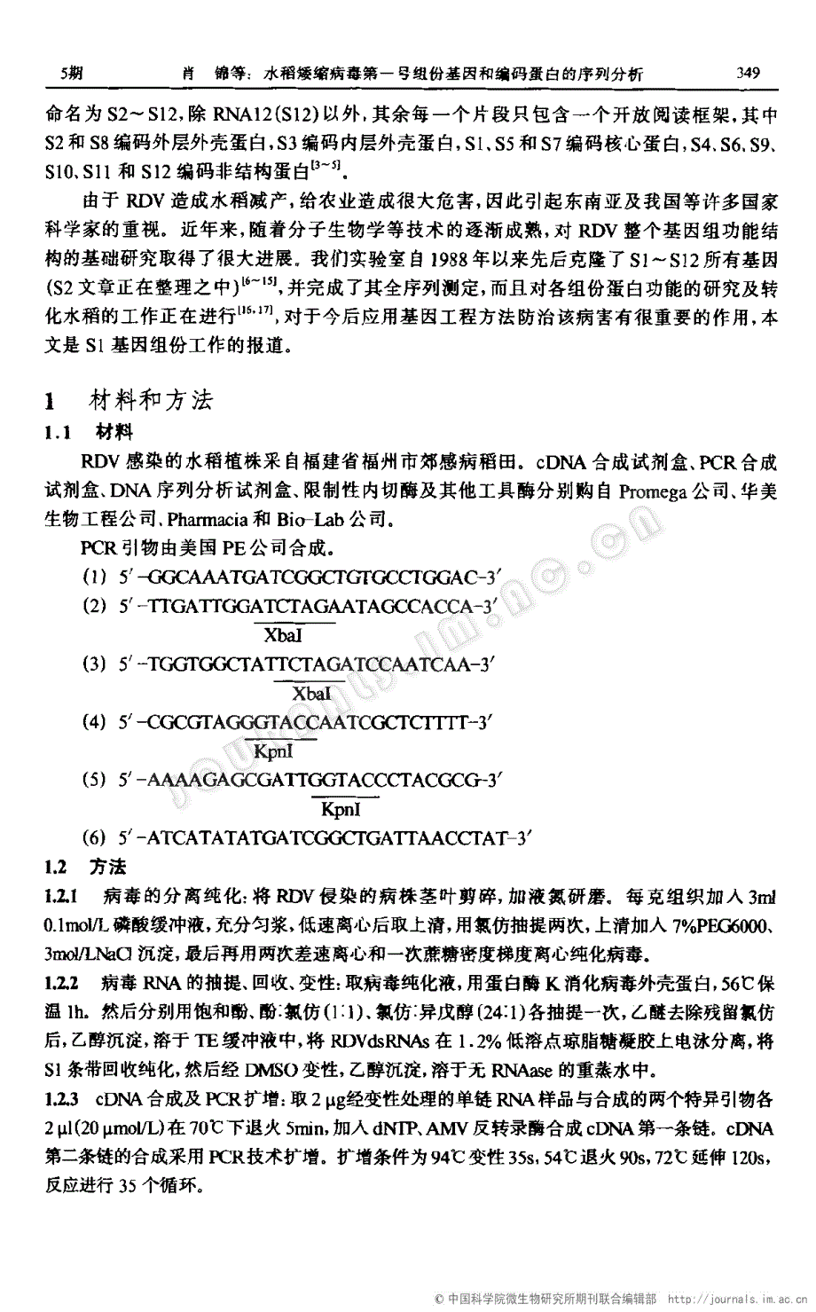 水稻矮缩病毒第一号组份基因和编码蛋白的序列分析_第2页