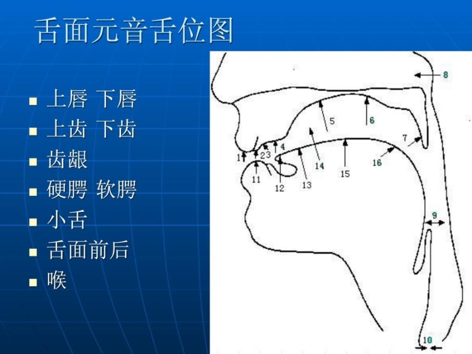 播音主持专业   基础知识_第3页