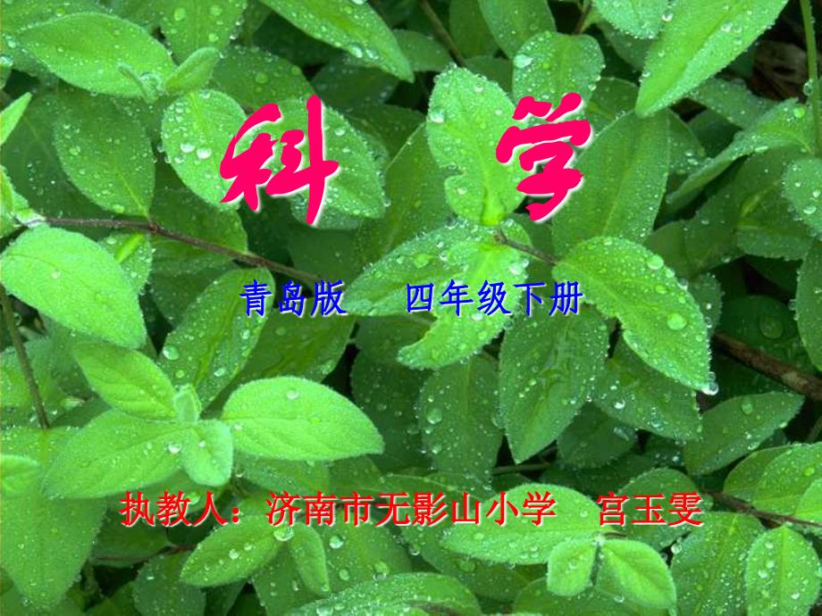 科学-四年级《太阳与植物》_第1页