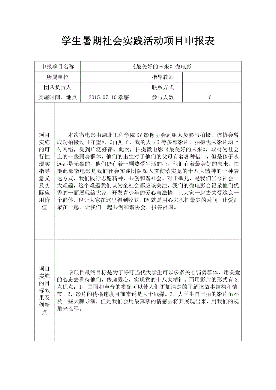 暑期大学生社会实践活动团队项目立项申报表_第1页