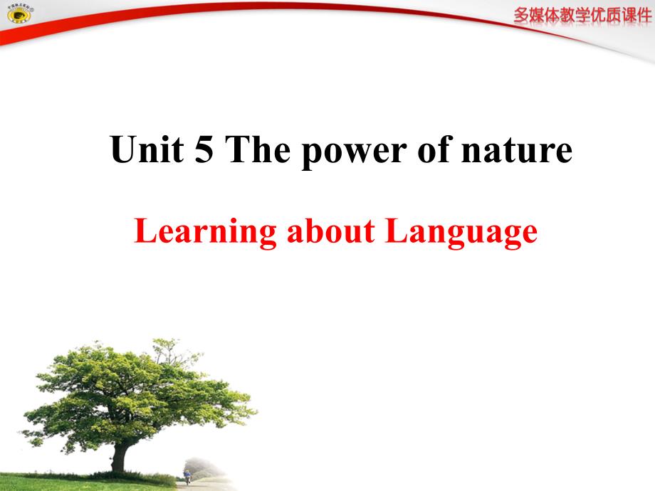 人教版高二英语选修六Unit5LearningaboutLanguage_第1页