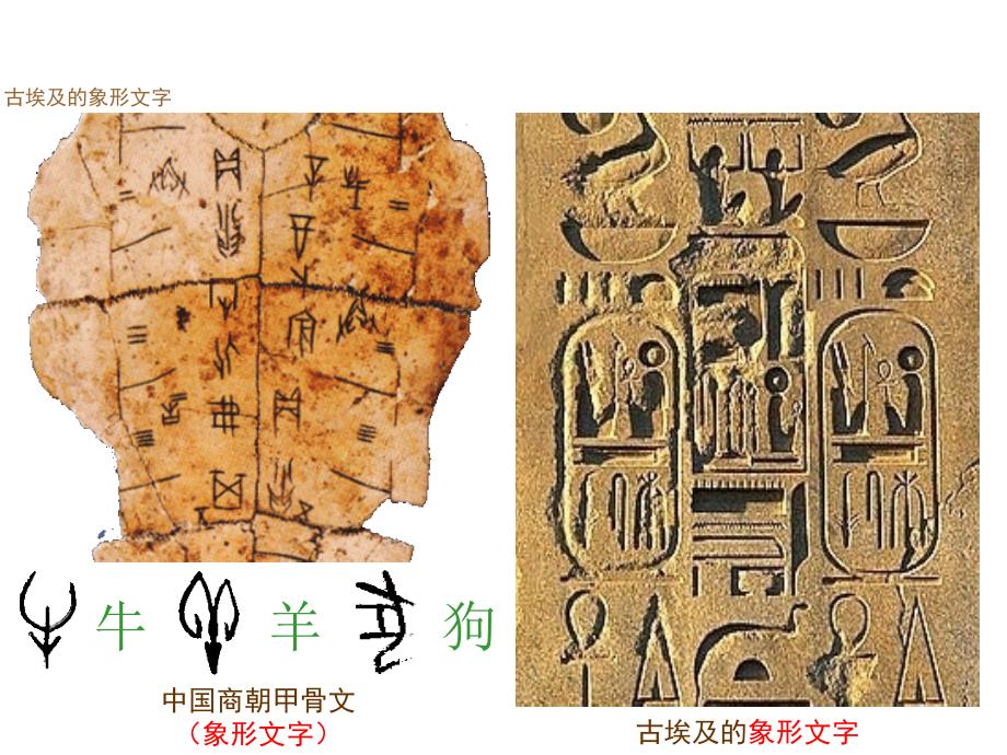 (川教版九年级《古代的文字与文学》上)_第4页