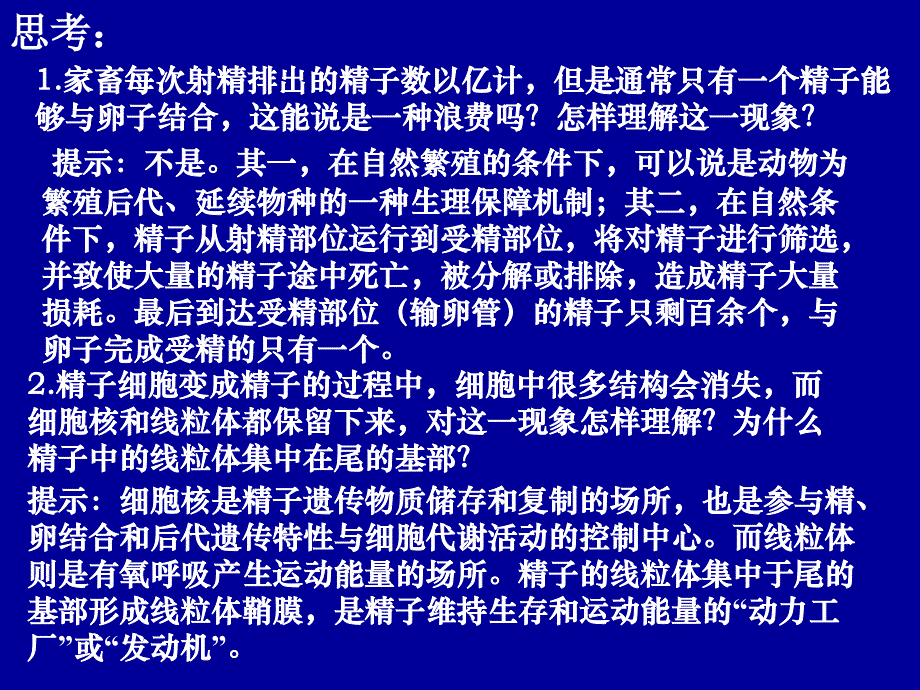 哺乳动物生殖细胞的发生和胚胎发育的基本过程_第4页