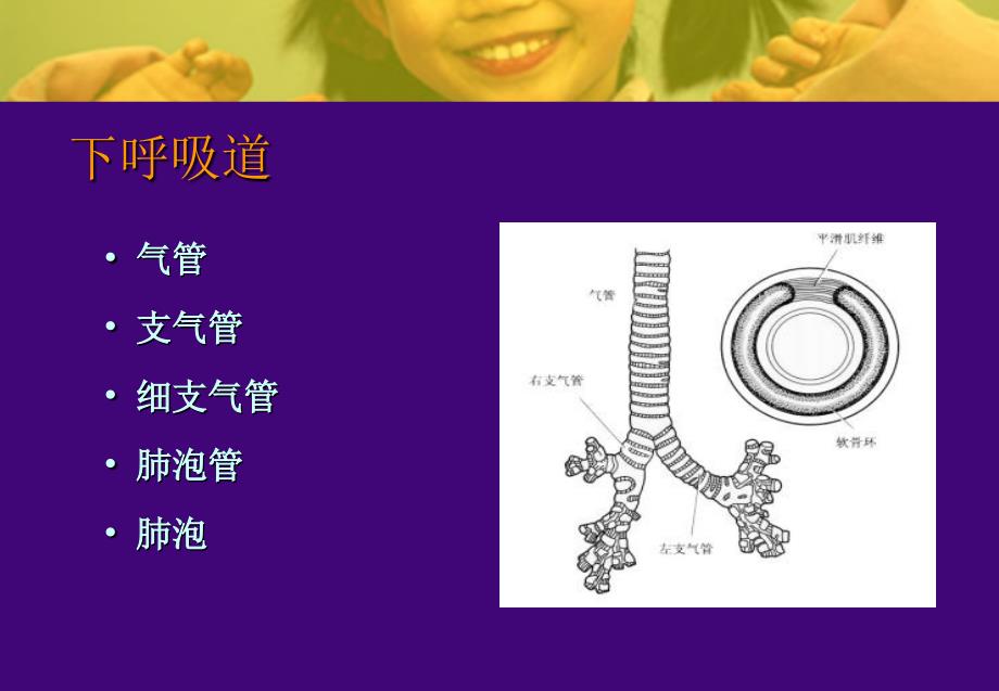 儿童呼吸系统病的预防_第3页