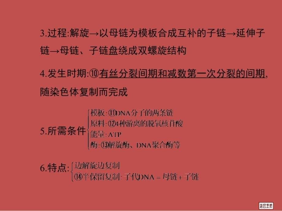 2014届高三一轮复习 6.2 DNA分子的结构、复制及基因的本质_第5页