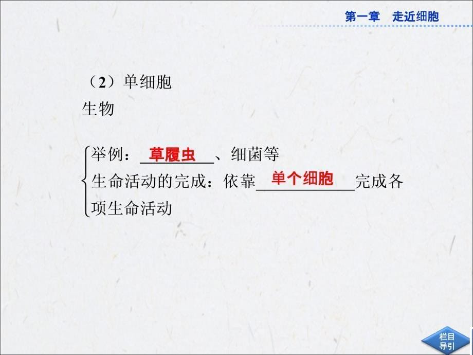 人民教育版高中生物必修1同步教学课件从生物圈到细胞_第5页