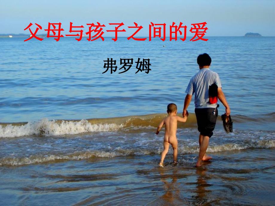 《父母与孩子之间的爱》公开课课件_第2页