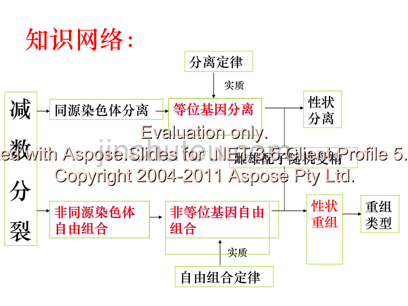 高中生物必修二孟德尔的豌豆杂交实验一_第1页