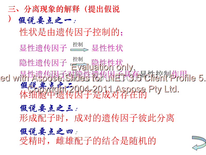 高中生物必修二孟德尔的豌豆杂交实验一_第4页