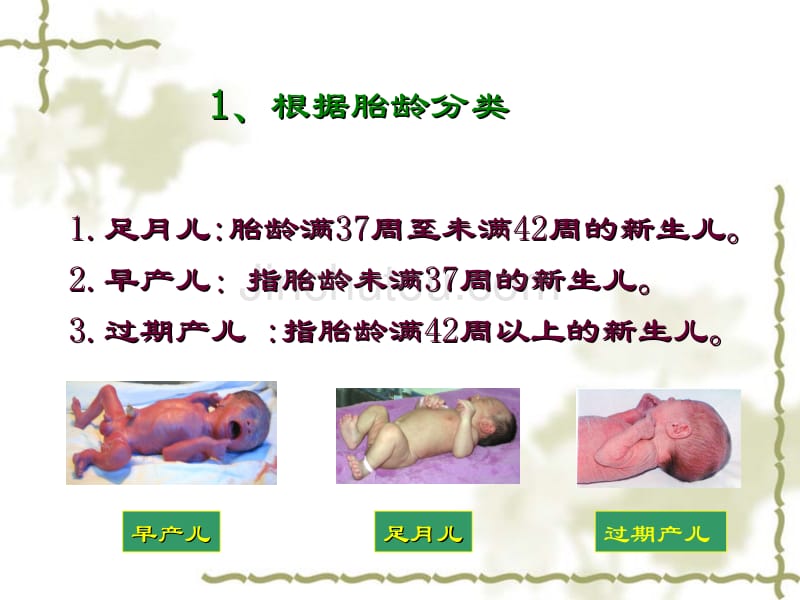 婴幼儿生理特点及保育_第5页