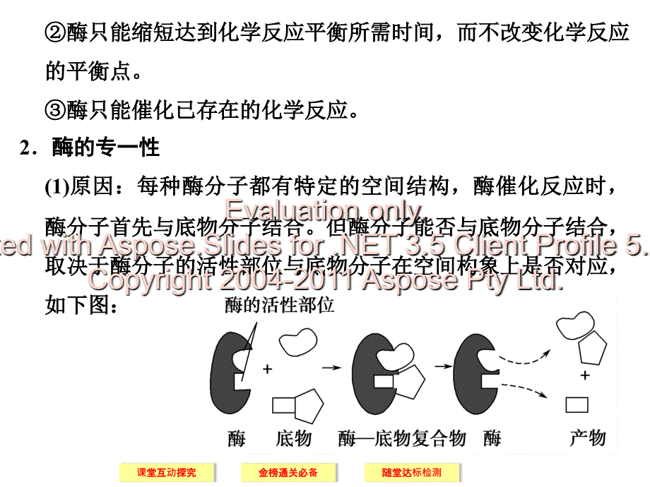 高中生物人教必修一上酶的特性_第4页