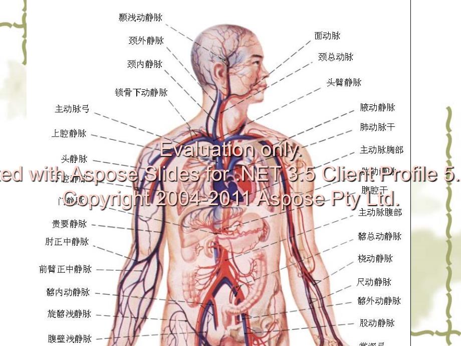 高考理科数学试及题参考答案重庆卷_第4页