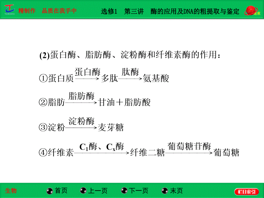 选修1酶的应用及DNA的粗提取与鉴定_第2页