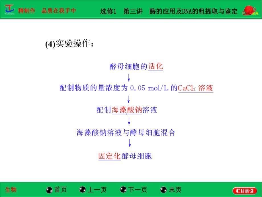 选修1酶的应用及DNA的粗提取与鉴定_第5页