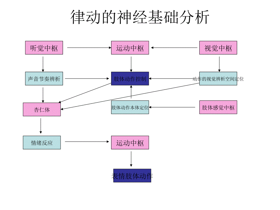 不同形式音乐的生理基础简单分析_第1页