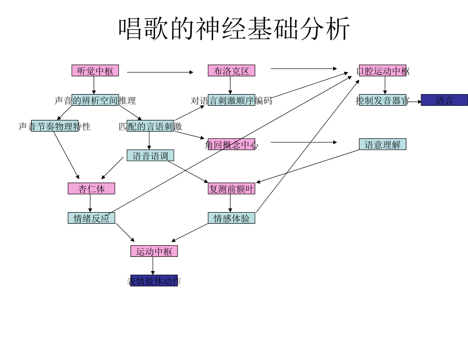 不同形式音乐的生理基础简单分析_第2页