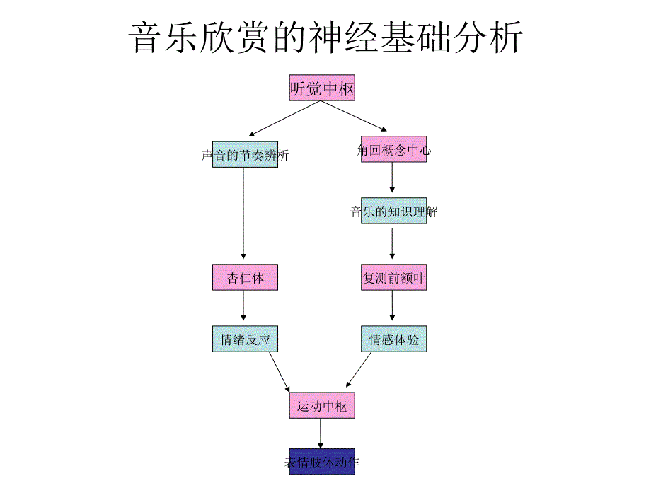 不同形式音乐的生理基础简单分析_第3页