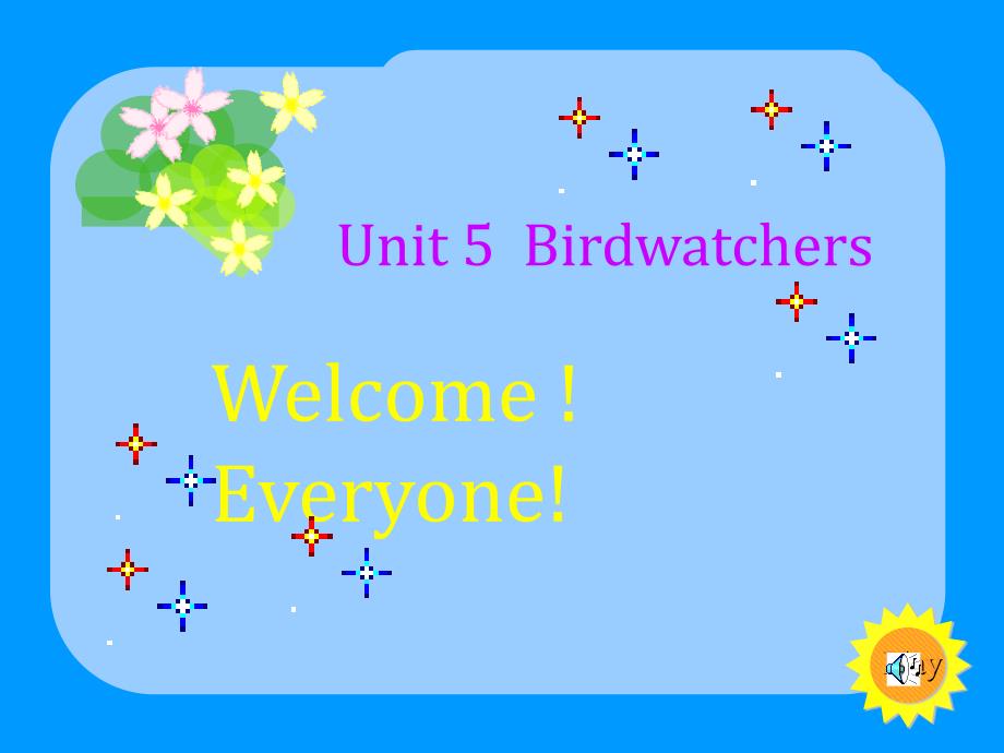 初二英语牛津英语8AUnit5Birdwatchers_第1页