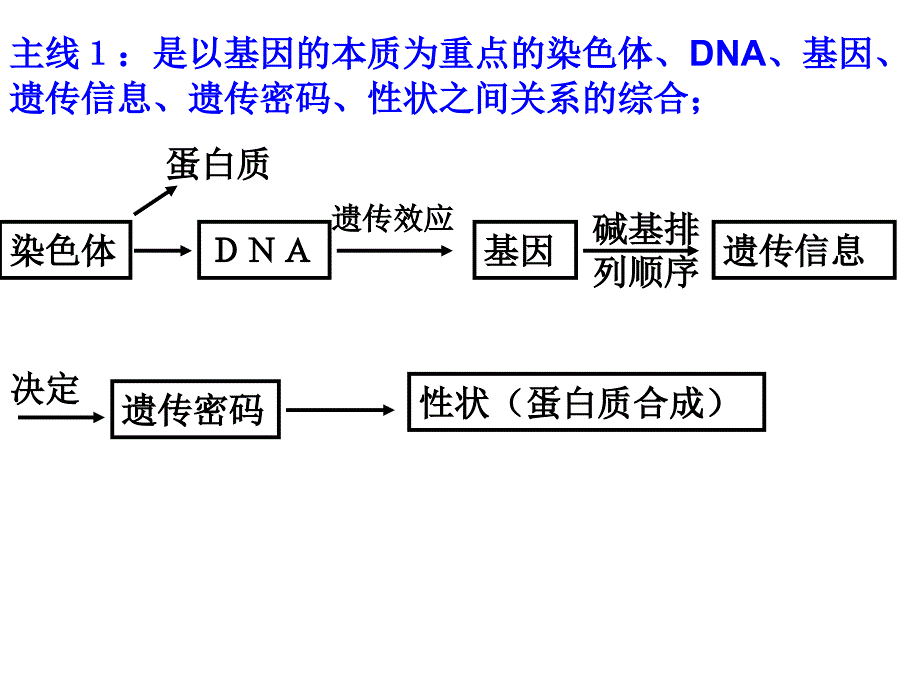 专题六遗传变异与进化_第2页