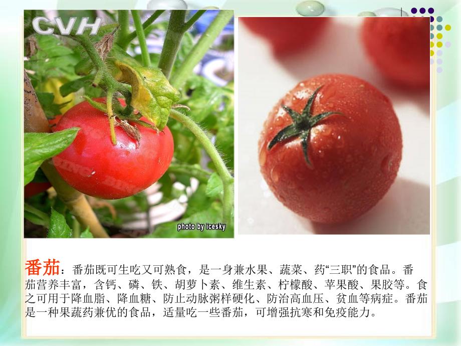 四季适宜吃的疏菜水果_第4页