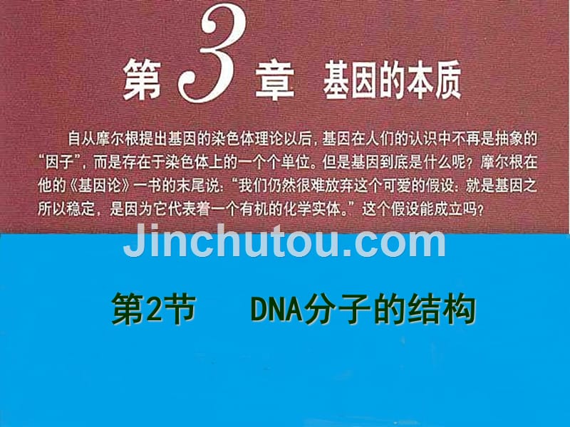 高中生物必修二3.2DNA分子的结构_第1页