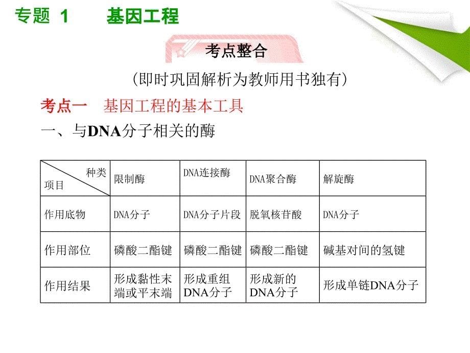 人教版教学课件2012高考生物总复习课件专题1《基因工程》知识研习(新人教版选修3)(共50张)_第5页