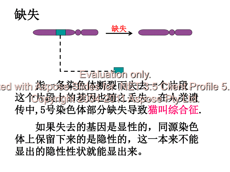 高中生物必修二色染体变异_第4页