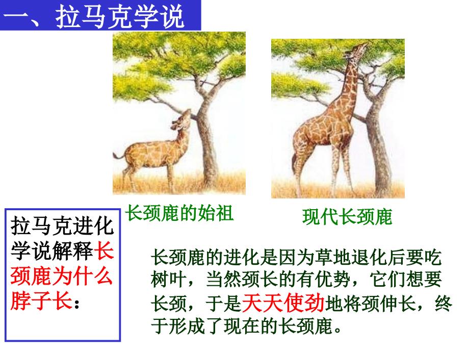 上海高中生物高考会考达尔文进化理论_第2页