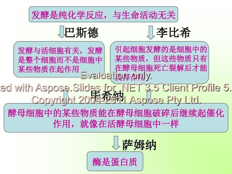 高中生物经典实专验题复习_第5页