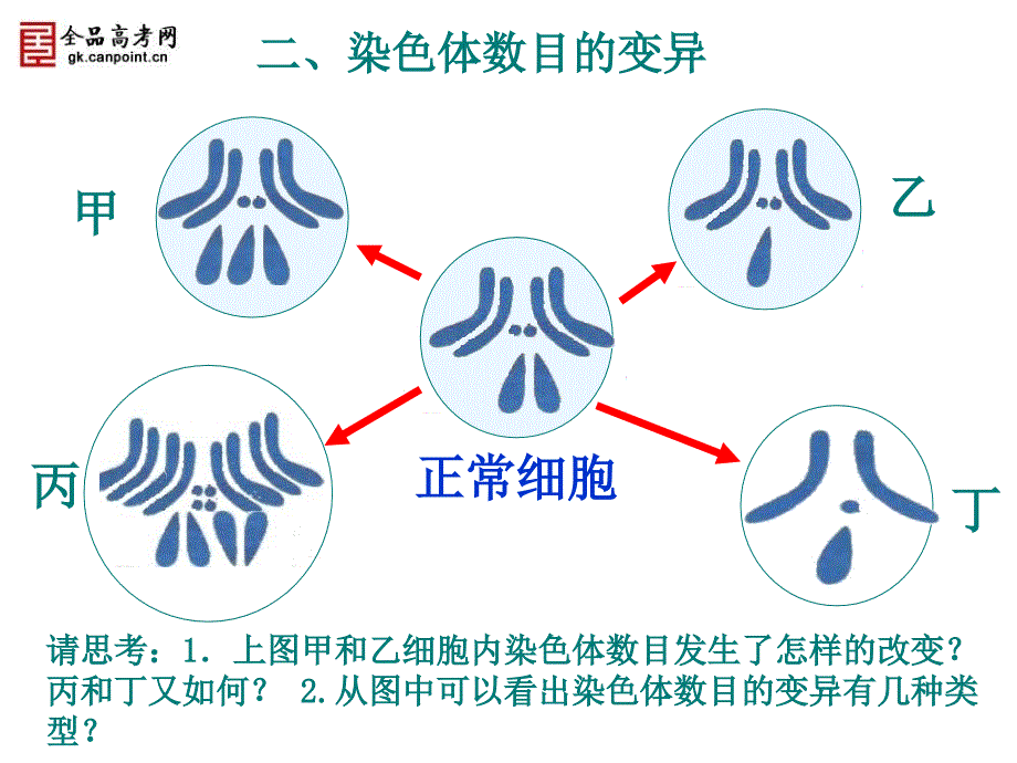 人教版教学课件内蒙古海拉尔三中高一生物必修二《52染色体变异》课件_第5页