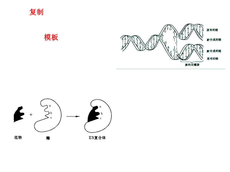 模板聚合和分子印迹技术bbbb_第3页