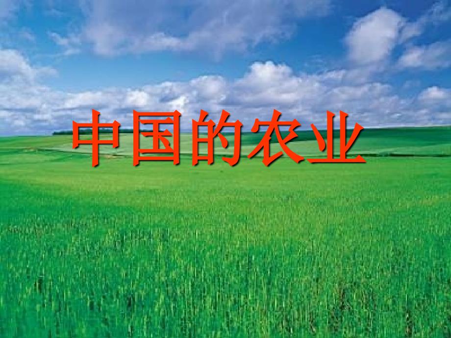 《中国的农业》课件适合高中复习教学_第1页