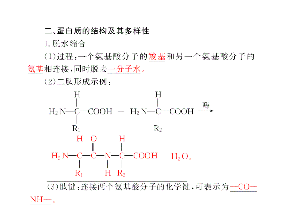 生命活动的主要承担者氨基酸及其种类蛋白质_第4页