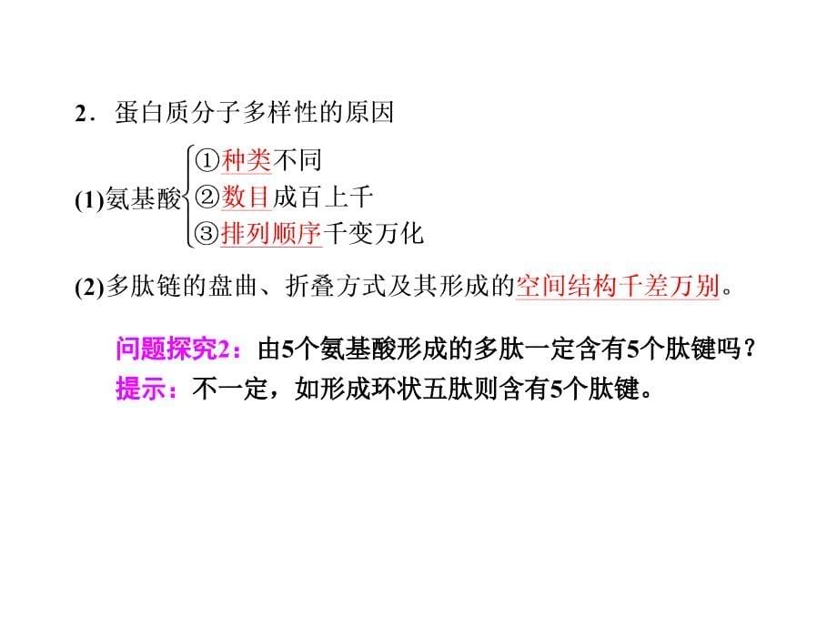 生命活动的主要承担者氨基酸及其种类蛋白质_第5页