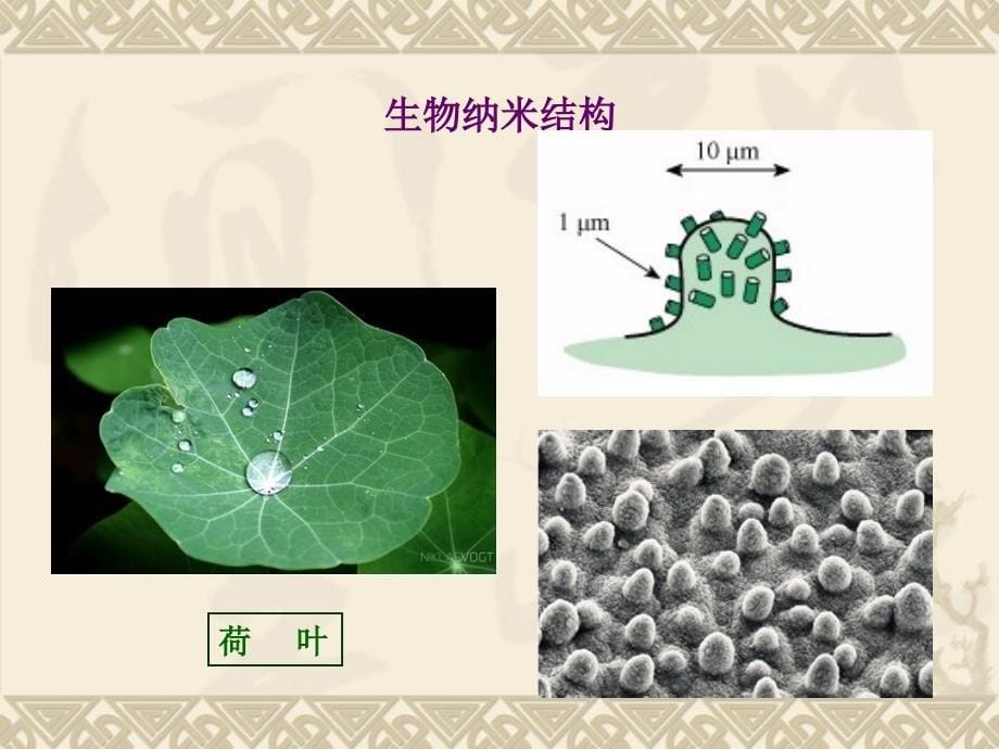 纳米材料的结构特征_第5页