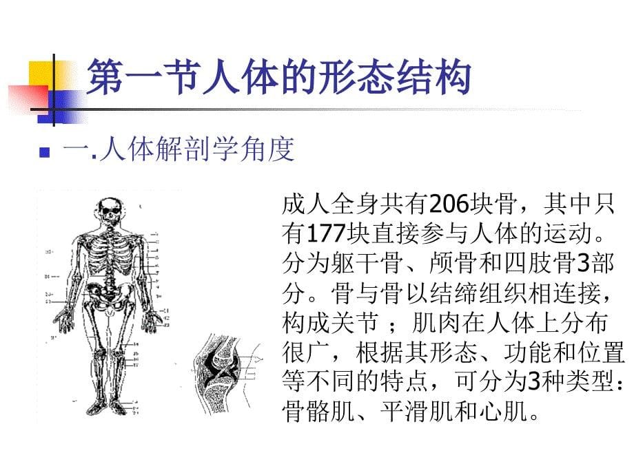 人体劳动形态特征_第5页