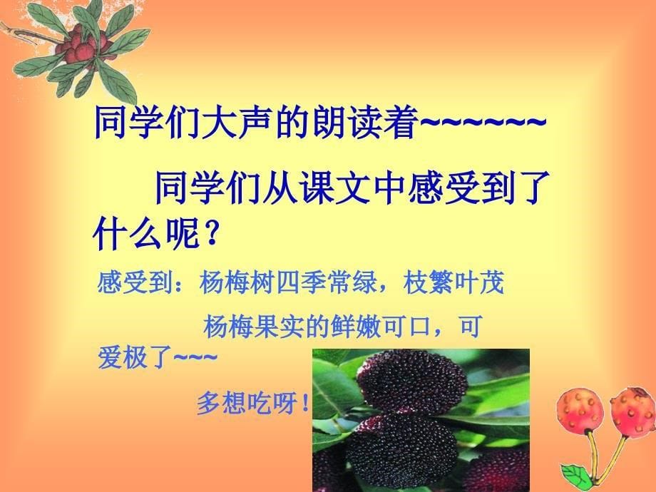 《我爱故乡的杨梅》_第5页