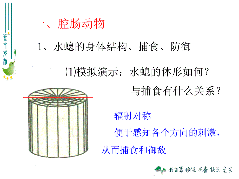 腔肠动物和扁形动物 (2)_第3页