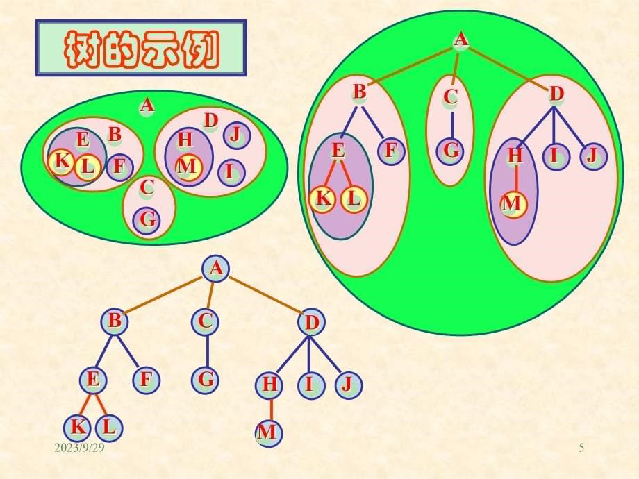 数据结构树与二叉树_第5页