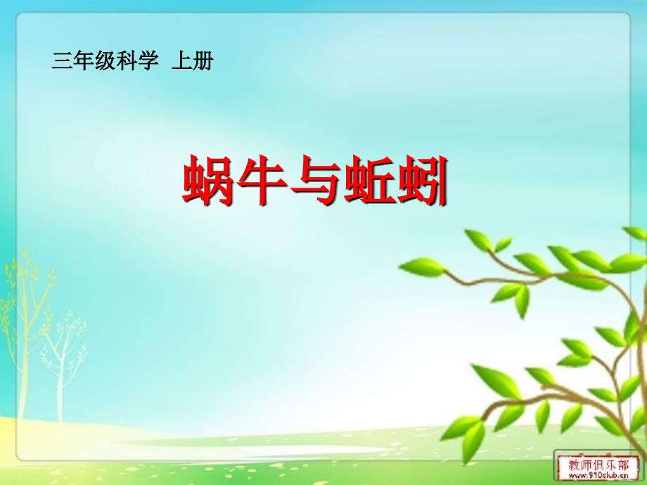 三年级科学上册《蜗牛与蚯蚓》_第1页