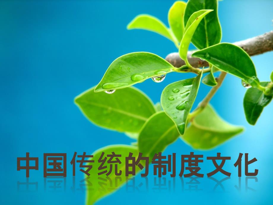 中国传统的政治制度_第1页