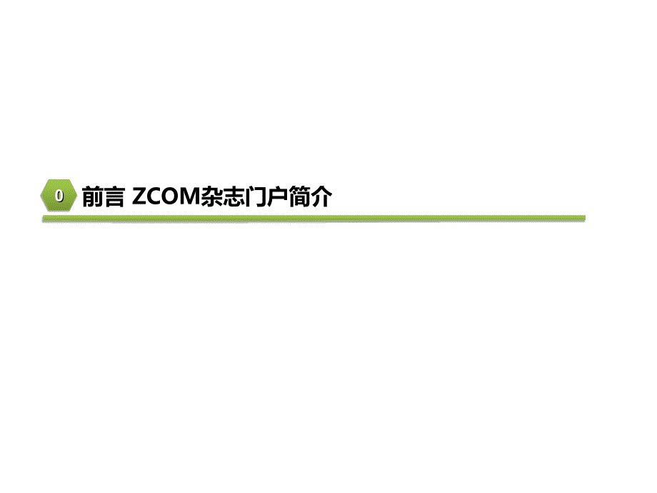ZCOM电子杂志发行平台介绍V2.5_第2页
