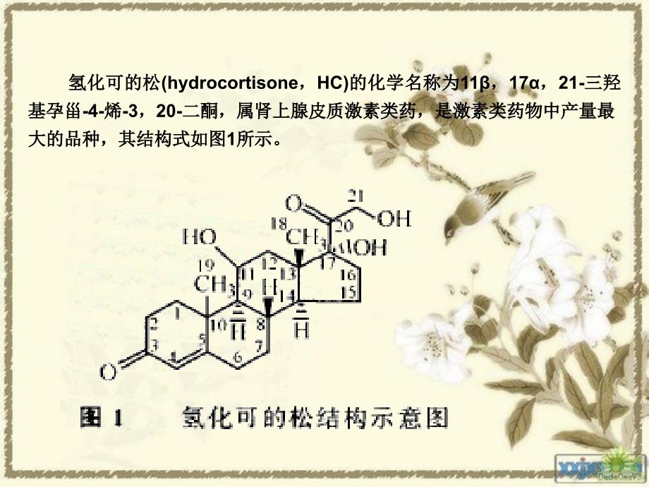 氢化可的松(hydrocortisone_第1页