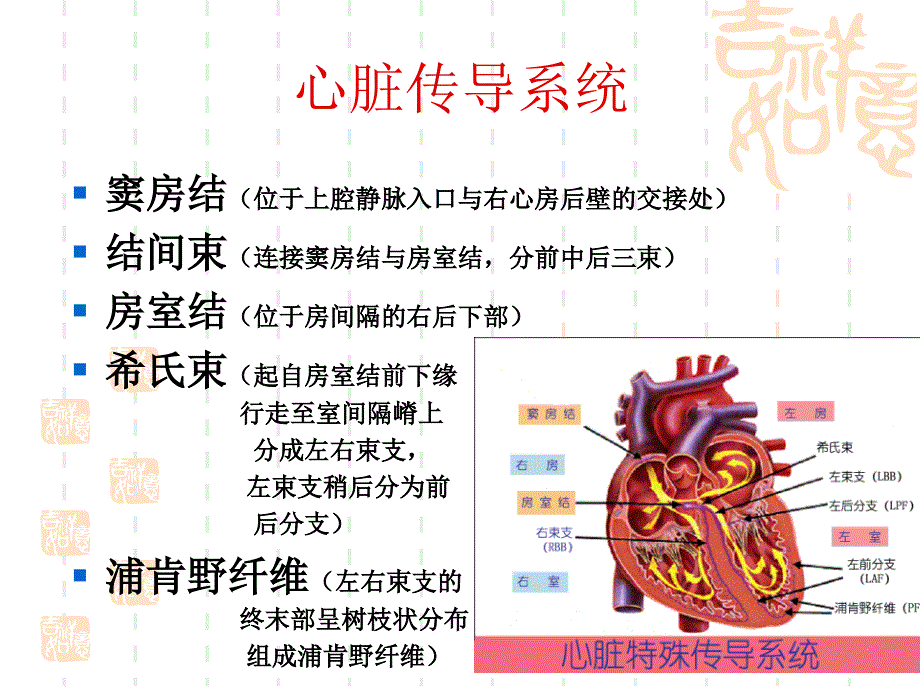 心脏传导阻滞及麻醉处理(王明德)_第2页