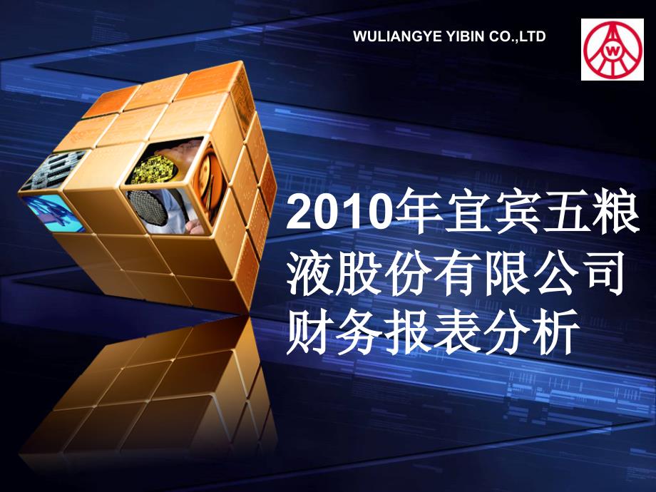 五粮液财务报表分析_第1页