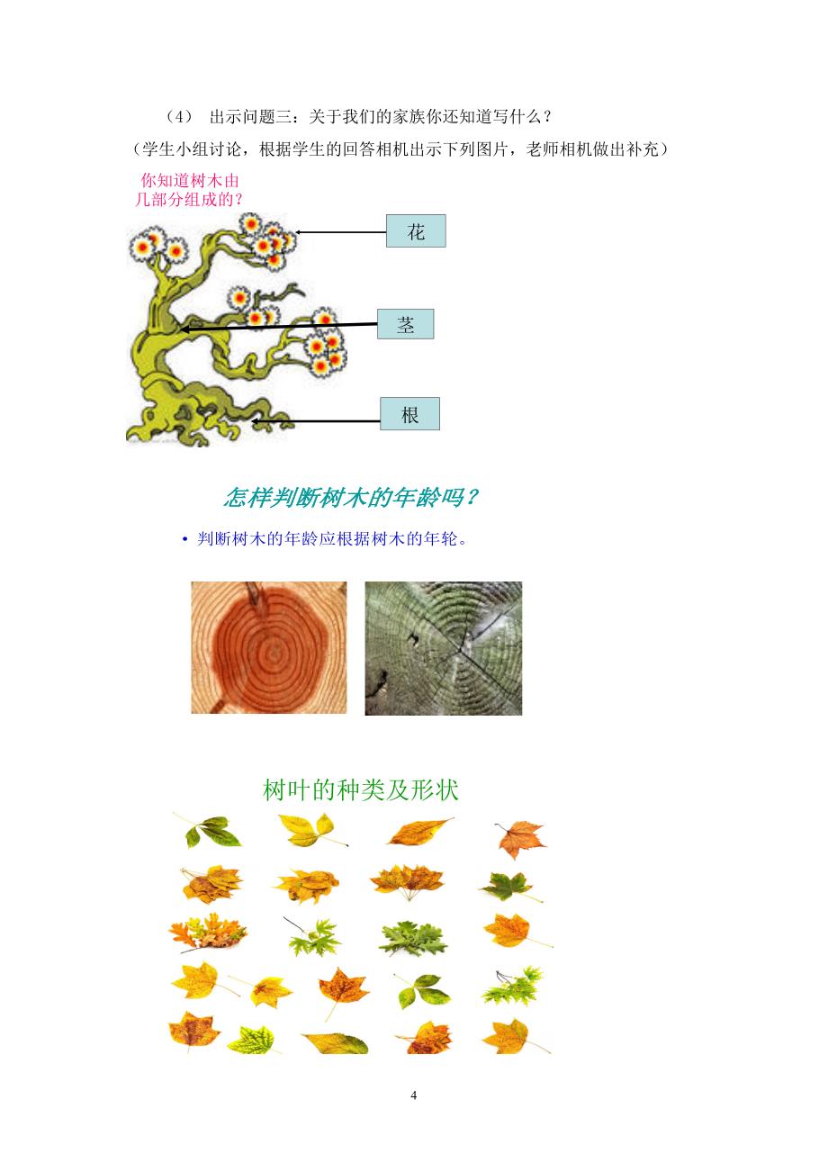 一年级品德与生活下册《我和小树交朋友》优秀教案_第4页